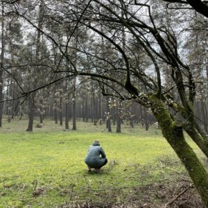 3. Bosbaden op zaterdag. Vennebulten, Heelweg-Oost. Za 7 juni 2025.