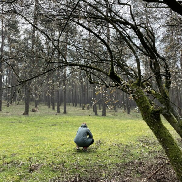 3. Bosbaden op zaterdag. Vennebulten, Heelweg-Oost. Za 7 juni 2025.