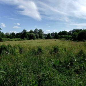 5. Bosbaden op zaterdag. Paasberg, Terborg Za 02 augustus 2025.