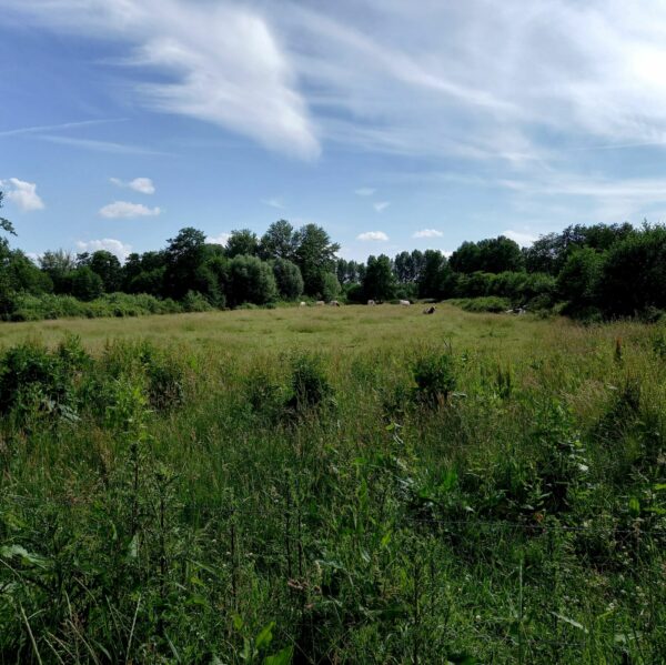 5. Bosbaden op zaterdag. Paasberg, Terborg Za 02 augustus 2025.